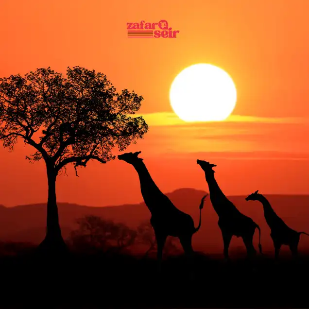 آفریقای جنوبی