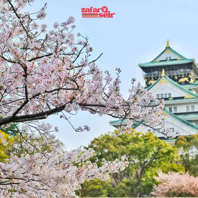 japan (3)